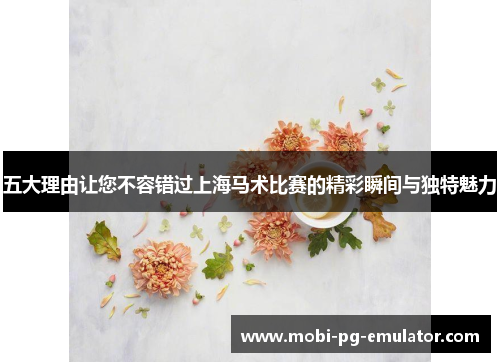 五大理由让您不容错过上海马术比赛的精彩瞬间与独特魅力 五大理由让您不容错过上海马术比赛的精彩瞬间与独特魅力