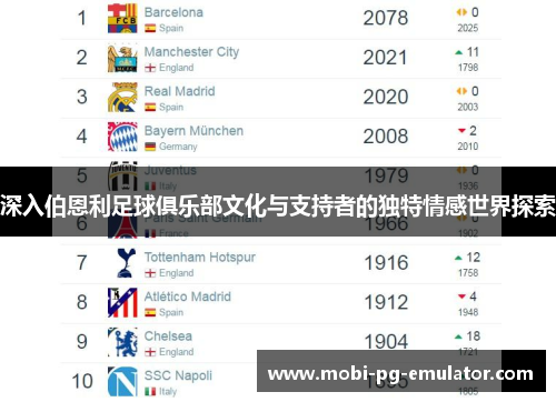 深入伯恩利足球俱乐部文化与支持者的独特情感世界探索 深入伯恩利足球俱乐部文化与支持者的独特情感世界探索