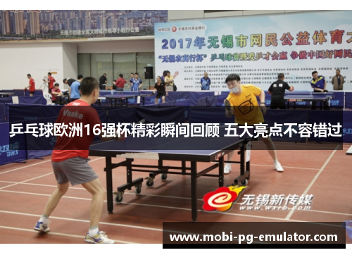 乒乓球欧洲16强杯精彩瞬间回顾 五大亮点不容错过 乒乓球欧洲16强杯精彩瞬间回顾 五大亮点不容错过