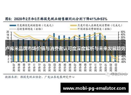 卢库米品牌市场价值与消费者认可度深度解析与未来发展趋势
