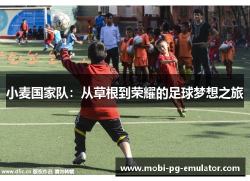小麦国家队:从草根到荣耀的足球梦想之旅 小麦国家队:从草根到荣耀的足球梦想之旅