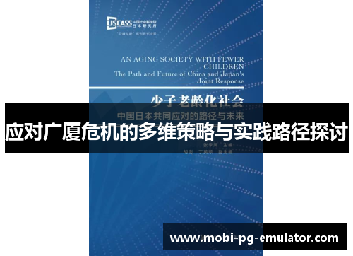 应对广厦危机的多维策略与实践路径探讨 应对广厦危机的多维策略与实践路径探讨