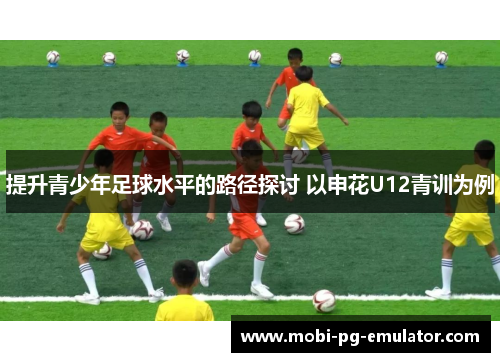 提升青少年足球水平的路径探讨 以申花U12青训为例