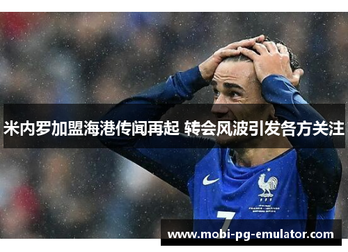 米内罗加盟海港传闻再起 转会风波引发各方关注 米内罗加盟海港传闻再起 转会风波引发各方关注