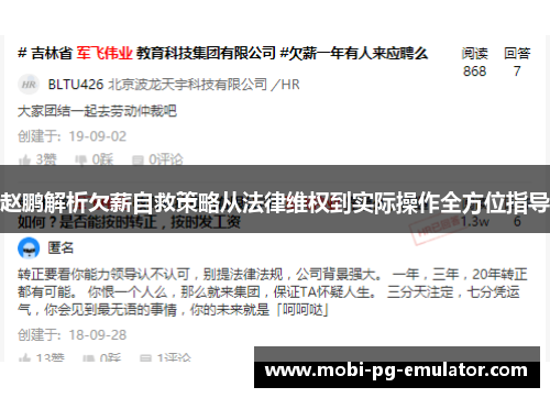 赵鹏解析欠薪自救策略从法律维权到实际操作全方位指导 赵鹏解析欠薪自救策略从法律维权到实际操作全方位指导